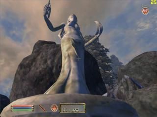 oblivion 232156,2